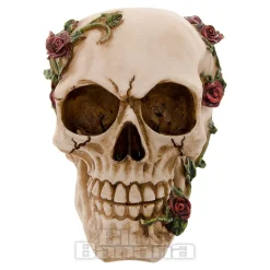 Nemesis Now Rose Beyond Skull Figurine (15cm)