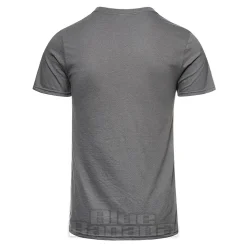 Official Foo Fighters Matter of Time T Shirt (Grey)